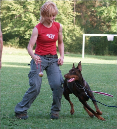 Summer training camp - Jelenec - 2007